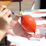 DSCF8039 (Másolás)