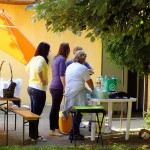 DSCF8605 (Másolás)