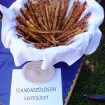 DSCF8631 (Másolás)