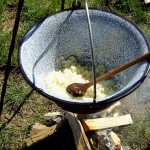 DSCF8633 (Másolás)