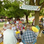 DSCF8688 (Másolás)