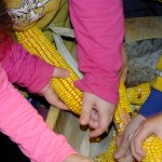 DSCF1640 (Másolás)