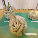 DSCF1855 (Másolás)