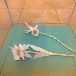 DSCF1856 (Másolás)