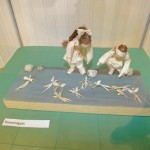 DSCF1859 (Másolás)