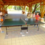 DSCF4789 (Másolás)