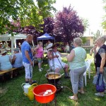 DSCF6591 (Másolás)