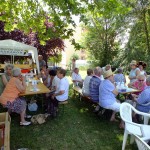 DSCF6622 (Másolás)