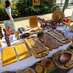 DSCF6793 (Másolás)