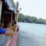 DSCF7447 (Másolás)