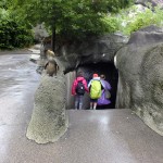 DSCF7542 (Másolás)