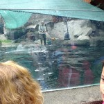 DSCF7545 (Másolás)