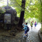 DSCF7549 (Másolás)