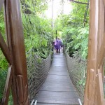 DSCF7551 (Másolás)