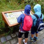 DSCF7554 (Másolás)