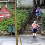 DSCF7565 (Másolás)