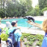 DSCF7567 (Másolás)