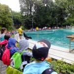 DSCF7569 (Másolás)