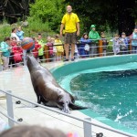 DSCF7574 (Másolás)