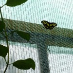 DSCF7583 (Másolás)