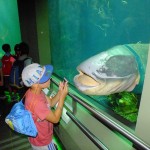 DSCF8200 (Másolás)