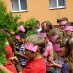 DSCF8719 (Másolás)