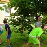 DSCF8732 (Másolás)