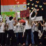 DSC_0011 (Másolás)