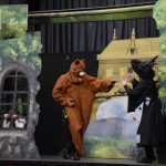 DSC_0063 (Másolás)