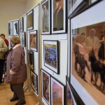 DSC_0101 (Másolás)