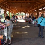 DSC_0011 (Másolás)