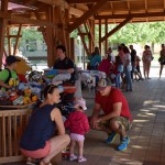 DSC_0041 (Másolás)