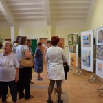 DSC_0123 (Másolás)