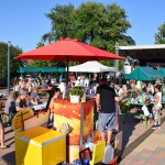 DSC_0152 (Másolás)