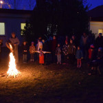 DSC_0337 (Másolás)