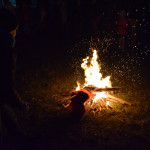 DSC_0350 (Másolás)