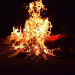 DSC_0352 (Másolás)