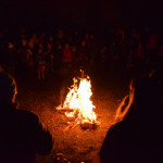 DSC_0356 (Másolás)