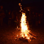 DSC_0357 (Másolás)