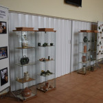 DSC_00014 (Másolás)