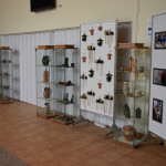 DSC_0012 (Másolás)