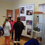 DSC_0035 (Másolás)